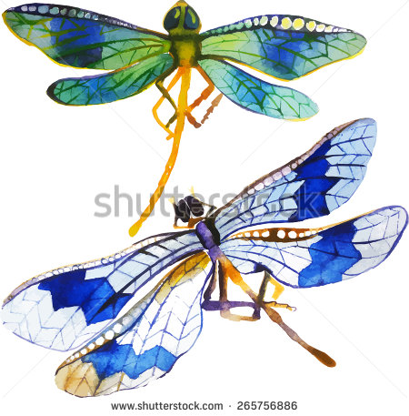 Dragonfly Watercolor Illustration