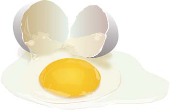 Egg Vector