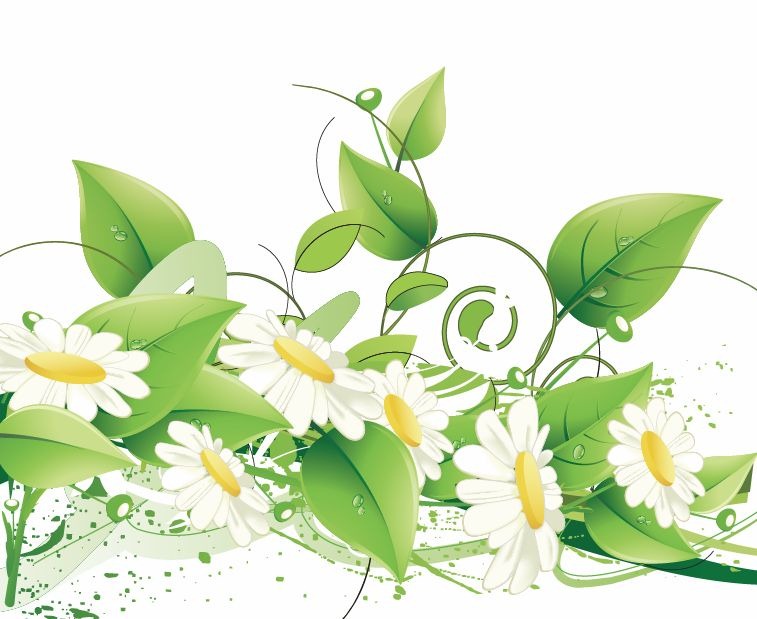 Elegant Flower Vector Floral Backgrounds