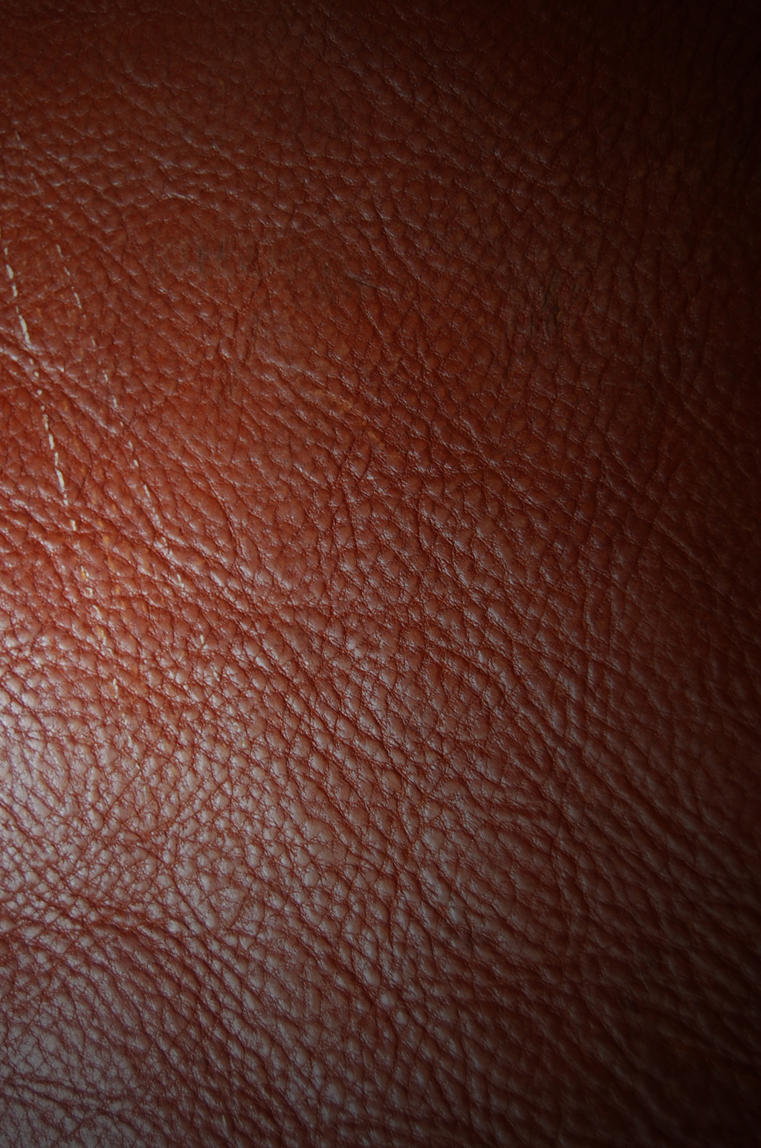 Free Leather Textures