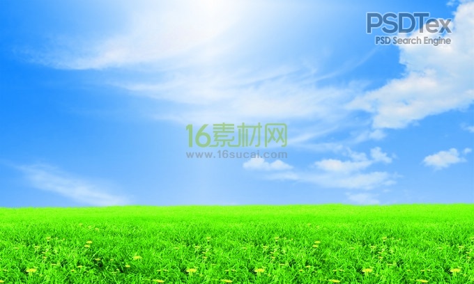 Green Grass and Sky Blue Background