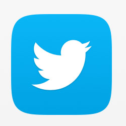 iOS 7 Twitter Icon