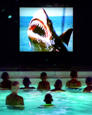 Jaws Animal Icons Jaws Animal Icons