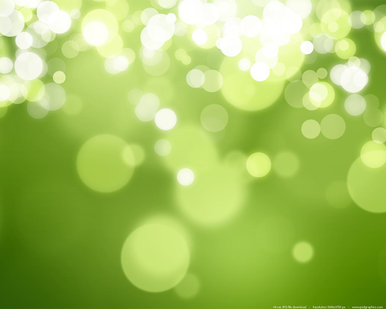 Light Green Nature Wallpaper