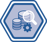 Master Data Management Icon