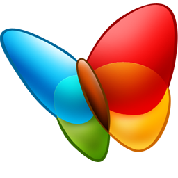 MSN Messenger Icon