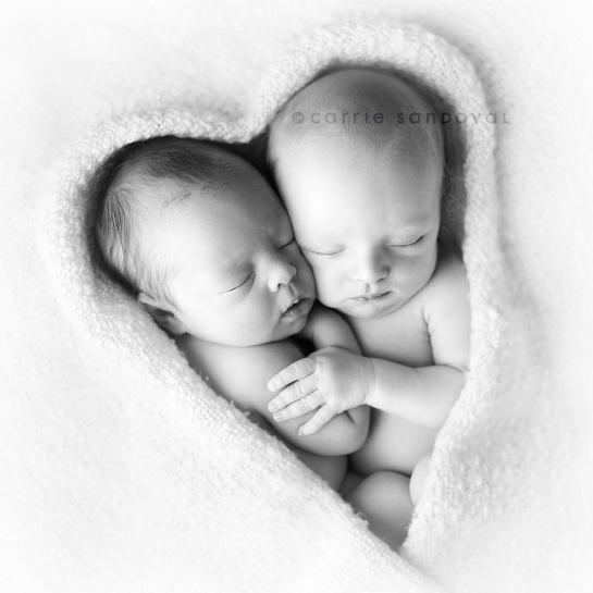 Newborn Twin Photography Ideas