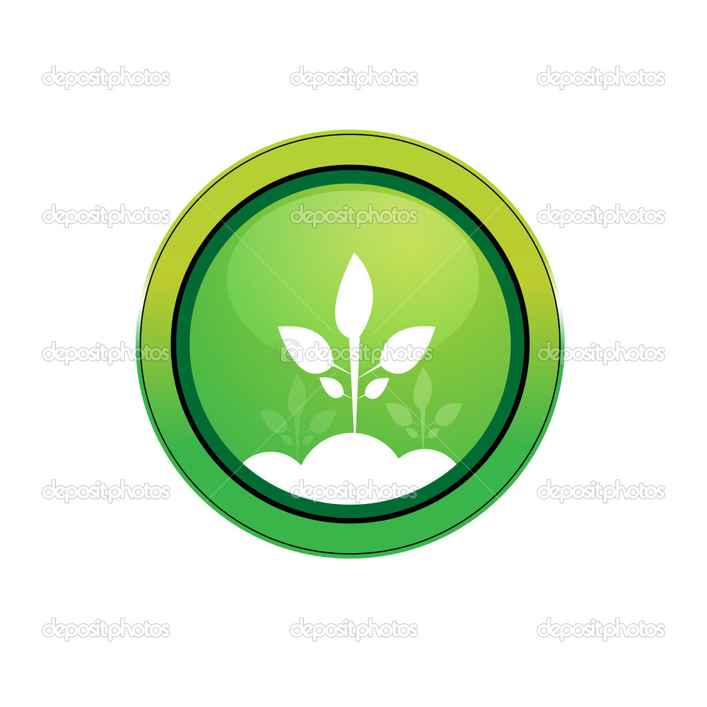 Plant Vector Icon