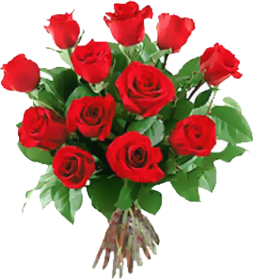 Rose PSD Rose PSD