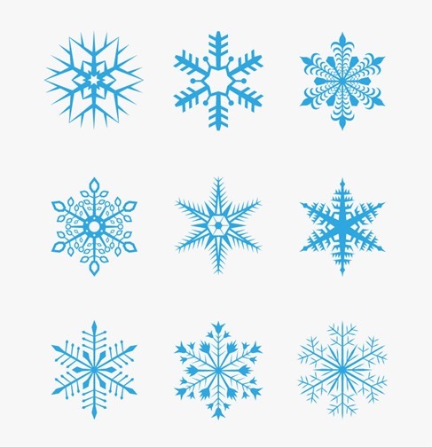 Snowflake Vector