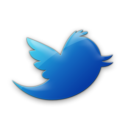 Transparent Twitter Bird Icon