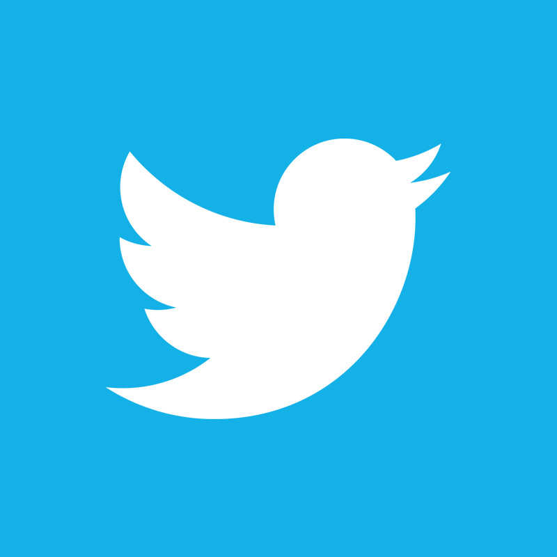 Twitter Logo Icon