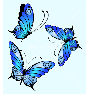 Vector Butterfly Designs