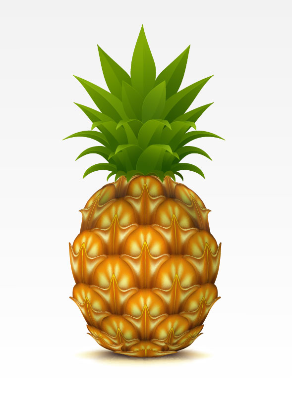 Vector Cartoon Pineapple