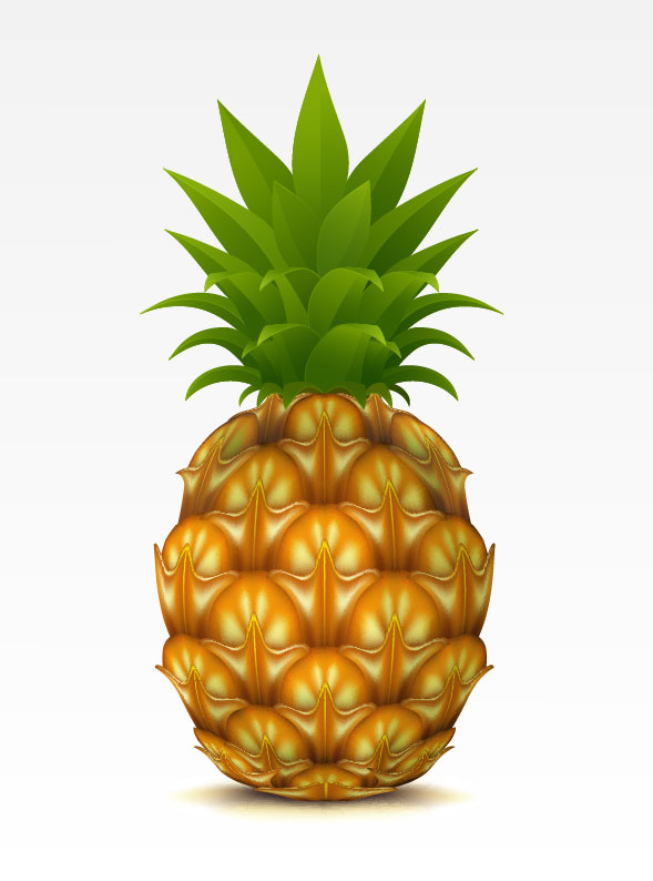 Vector Cartoon Pineapple Vector Cartoon Pineapple