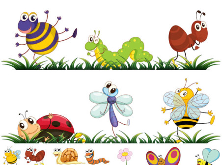 Vector Insect Cartoon Vector Insect Cartoon