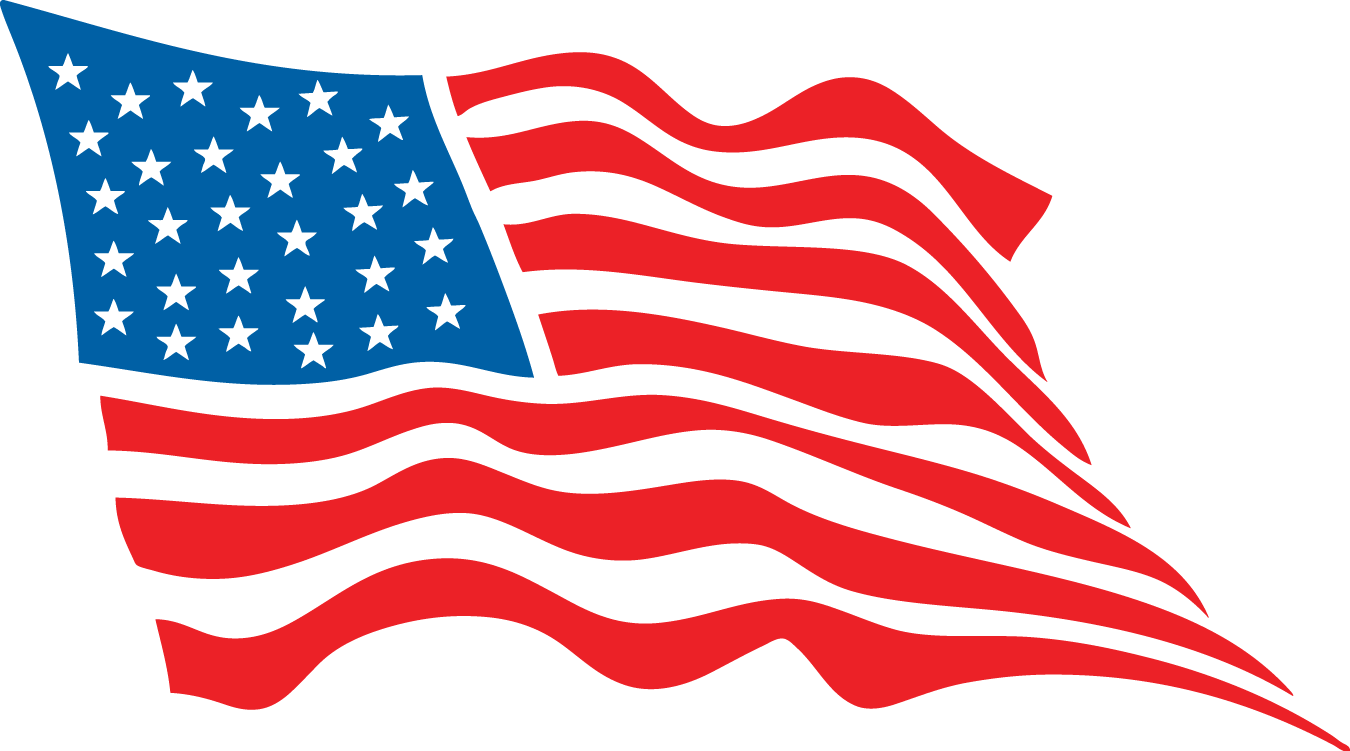 Waving American Flag Vector