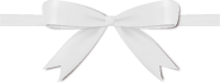 White Ribbon Bow Vector