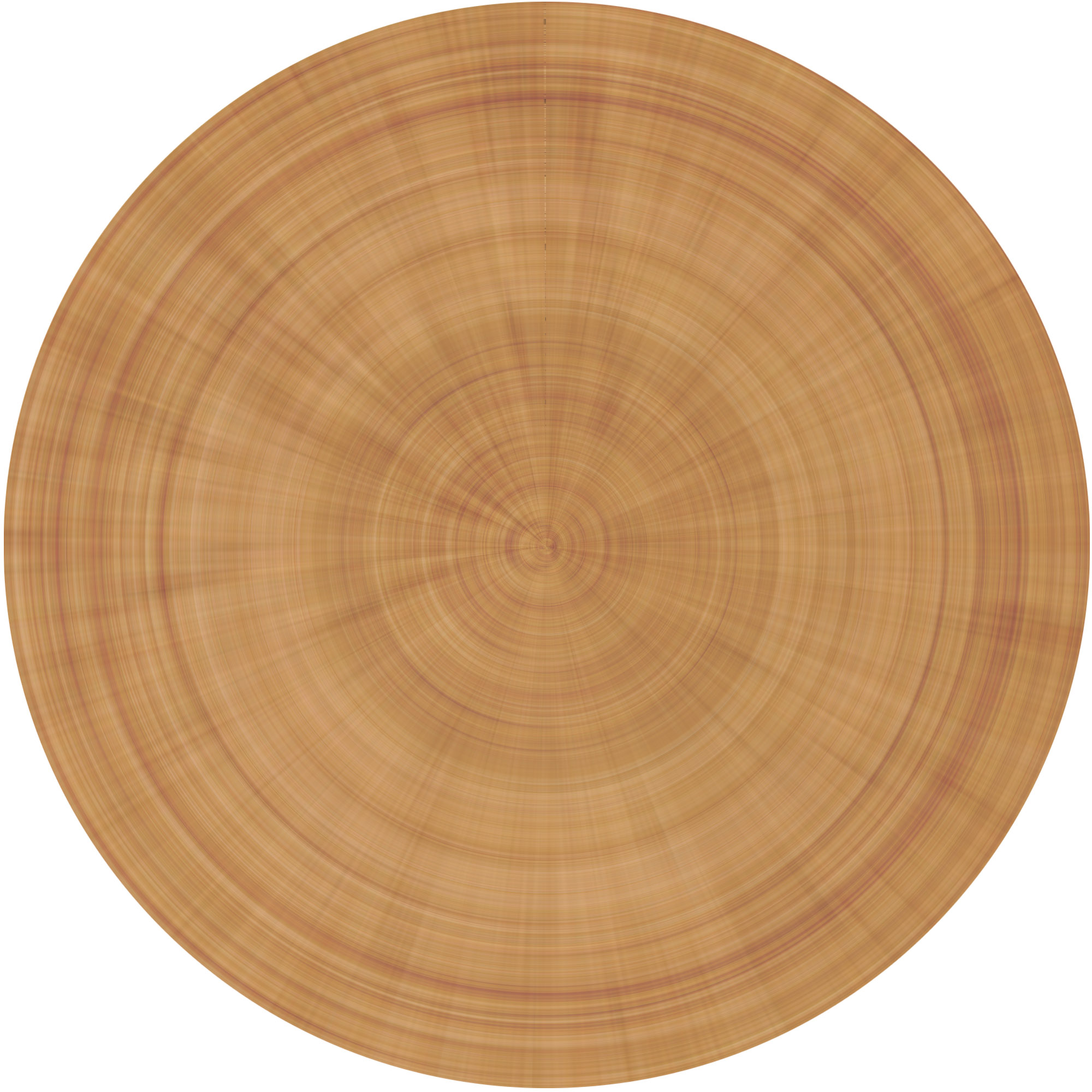 Wood Cross Section