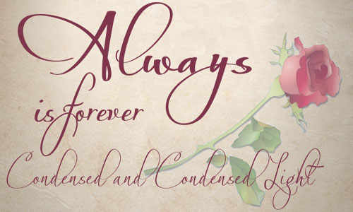 Beautiful Calligraphy Fonts Beautiful Calligraphy Fonts