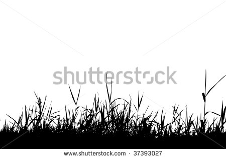 Black Grass Silhouette