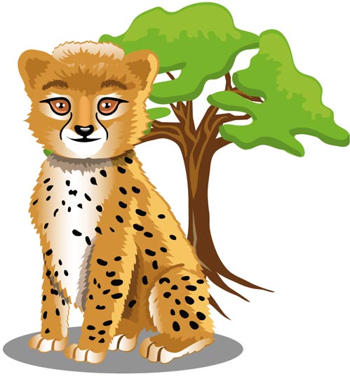 Cartoon Jungle Animals Cartoon Jungle Animals