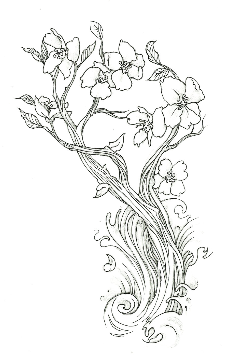 Cherry Blossom Drawing Outline
