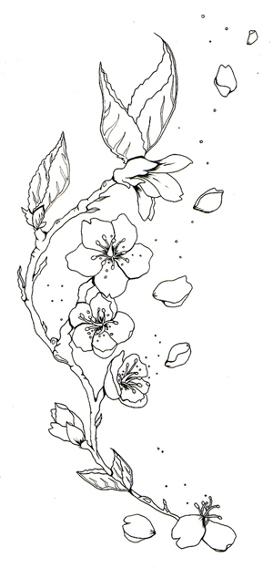 Cherry Blossom Tattoo Drawings