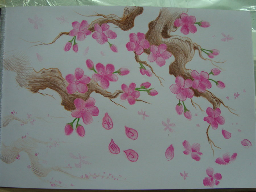 Cherry Blossom Tattoo Outline