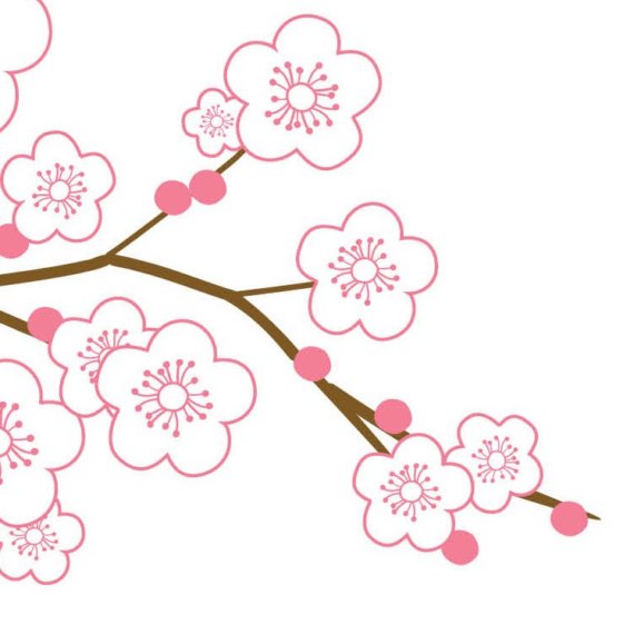 Cherry Blossom Tree Outline