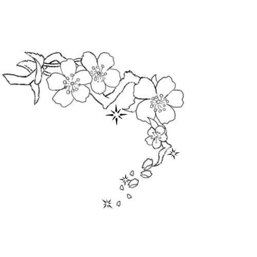 Cherry Blossom Tree Tattoo Outline