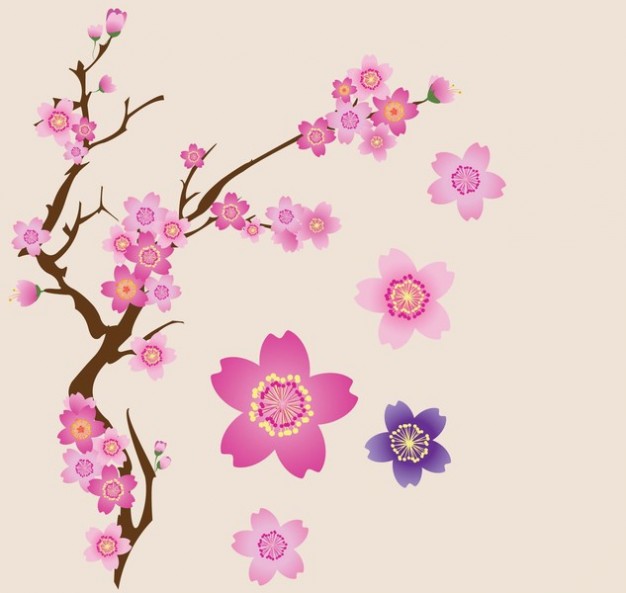 Cherry Blossom Vector Free