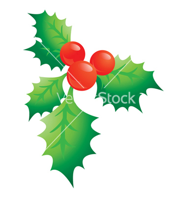 Christmas Holly Vector