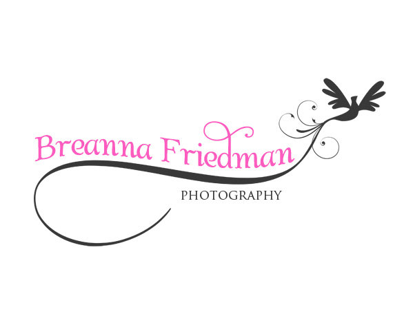 Custom Photography Logo Design