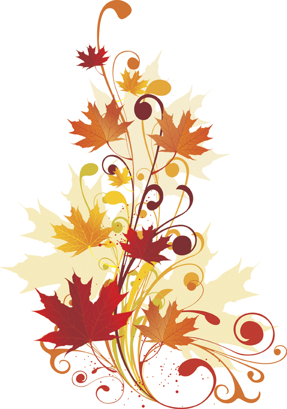Design Flower Vector Fall Autumn