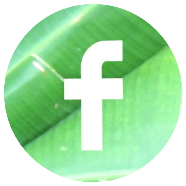 Facebook Circle Icon