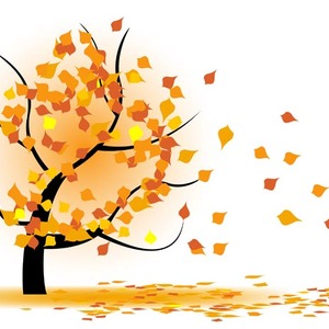 Fall Tree Vector Graphic