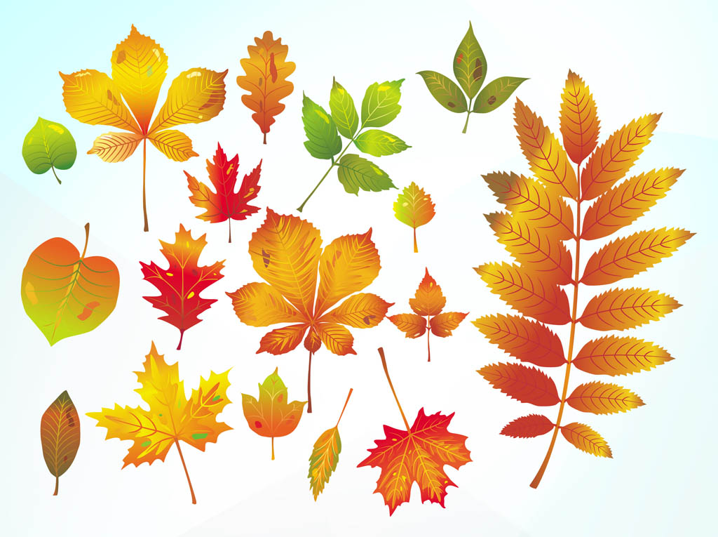 Free Vector Fall Leave Clip Art
