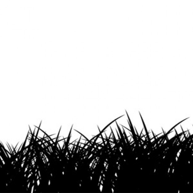 14 Sky And Grass Silhouette Vector Images