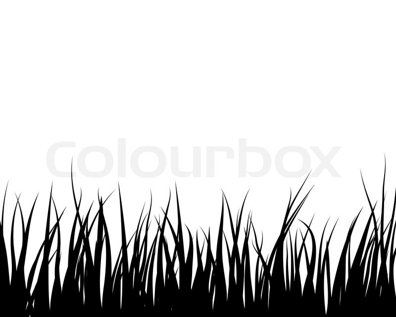 Grass Silhouette Vector