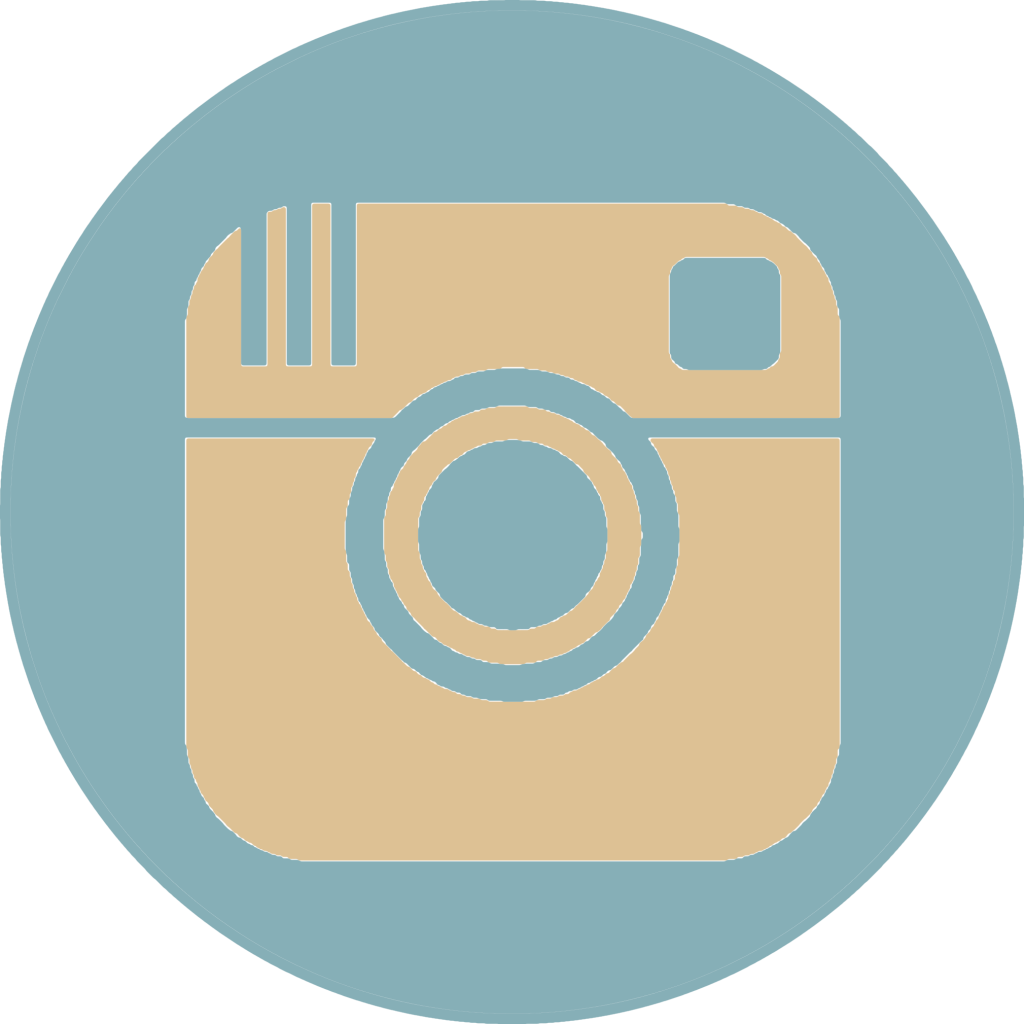 Instagram Circle Icon