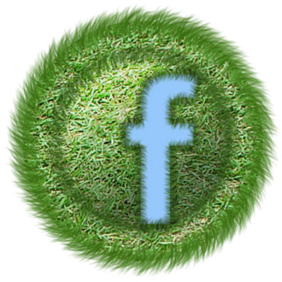 Official Facebook Logo Icon