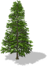 Tree Icon