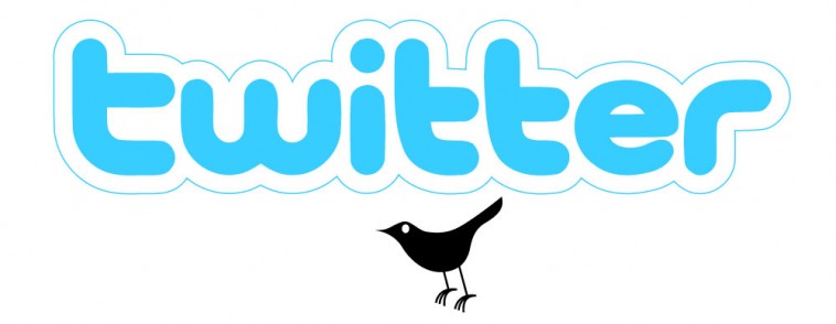 Twitter Logo Vector