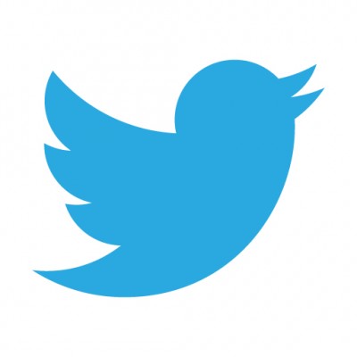 Twitter Logo Vector