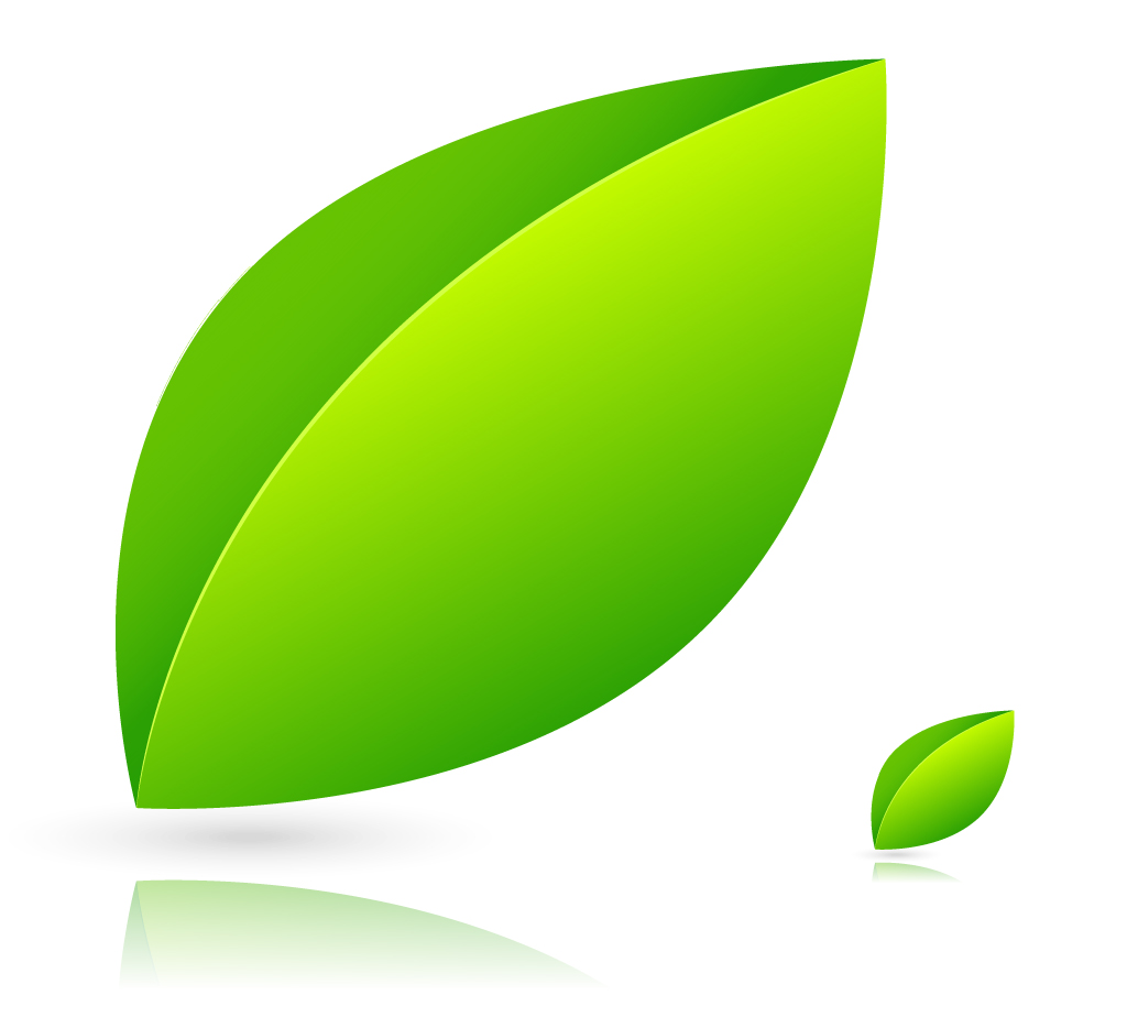 Vector Leaf Icon