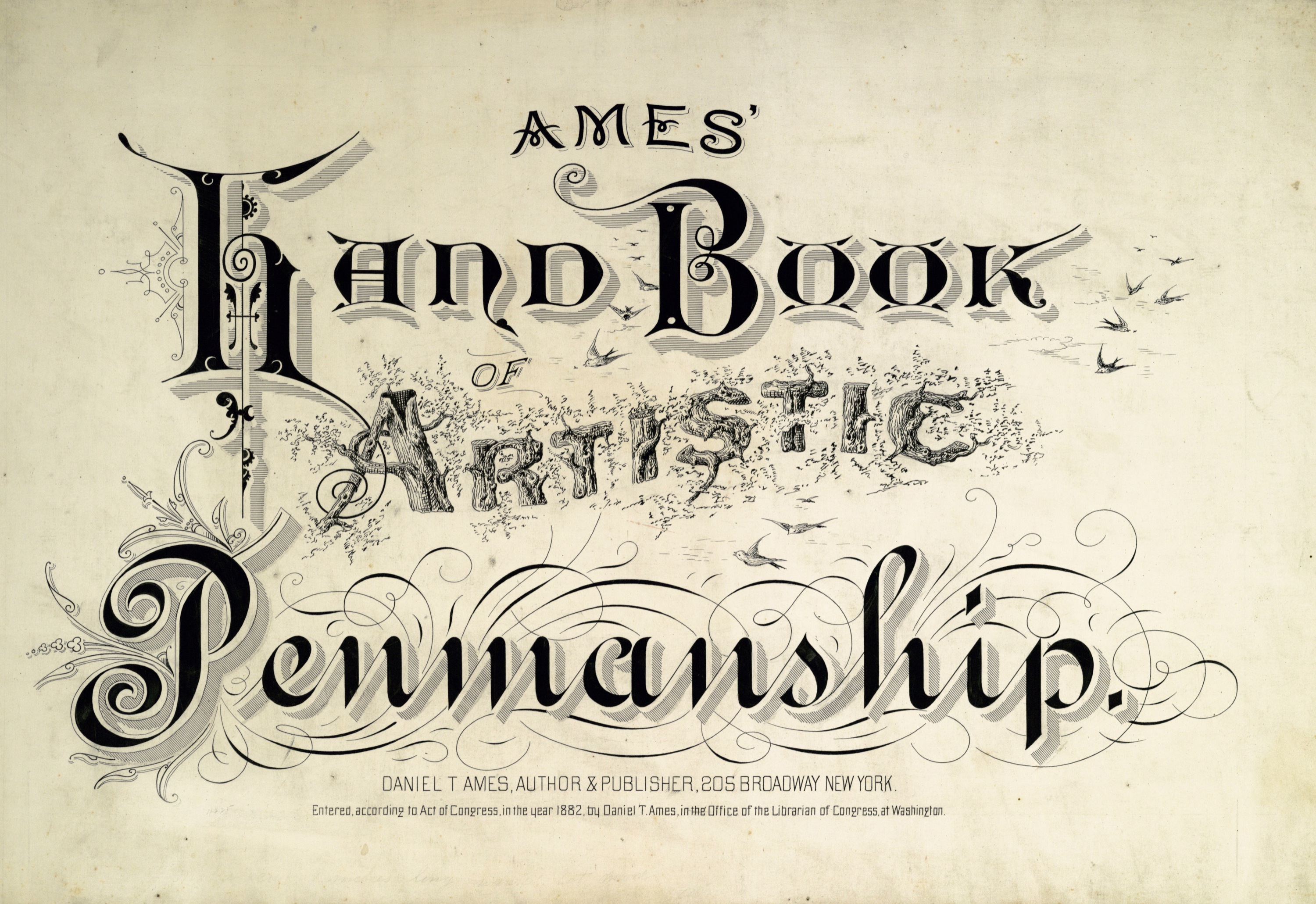 Vintage Typography Fonts Vintage Typography Fonts