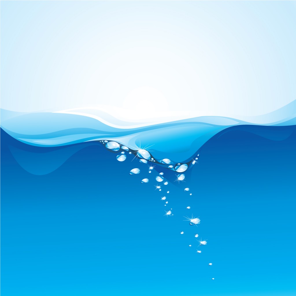 Water Wave Vector