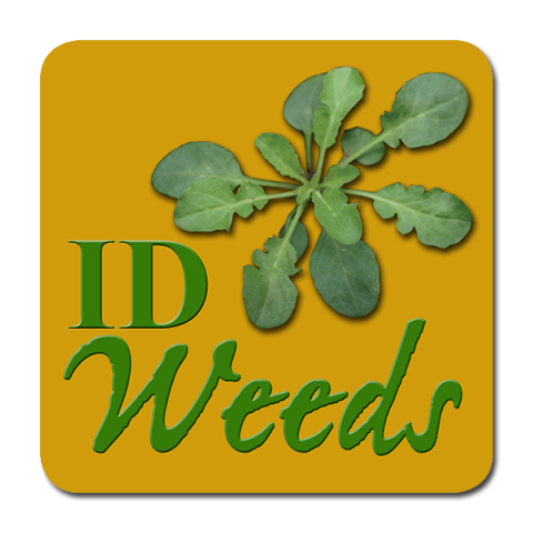 weed leaf guide