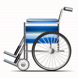 Wheelchair Icon